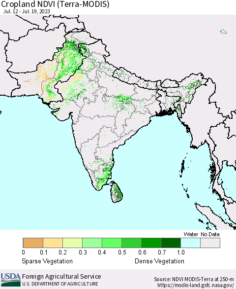 Southern Asia Cropland NDVI (Terra-MODIS) Thematic Map For 7/11/2023 - 7/20/2023