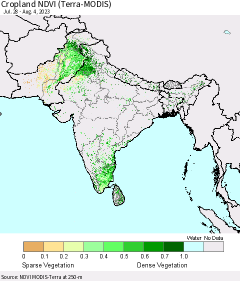 Southern Asia Cropland NDVI (Terra-MODIS) Thematic Map For 7/28/2023 - 8/4/2023
