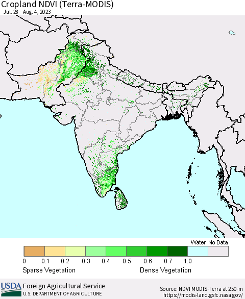 Southern Asia Cropland NDVI (Terra-MODIS) Thematic Map For 8/1/2023 - 8/10/2023