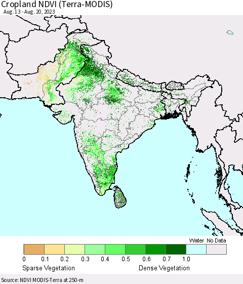 Southern Asia Cropland NDVI (Terra-MODIS) Thematic Map For 8/13/2023 - 8/20/2023