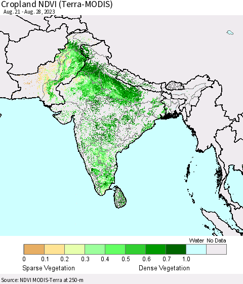 Southern Asia Cropland NDVI (Terra-MODIS) Thematic Map For 8/21/2023 - 8/28/2023