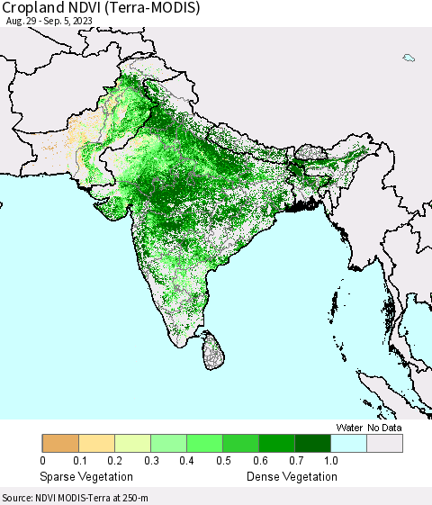 Southern Asia Cropland NDVI (Terra-MODIS) Thematic Map For 8/29/2023 - 9/5/2023