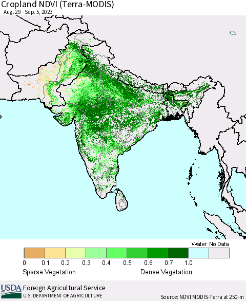 Southern Asia Cropland NDVI (Terra-MODIS) Thematic Map For 9/1/2023 - 9/10/2023