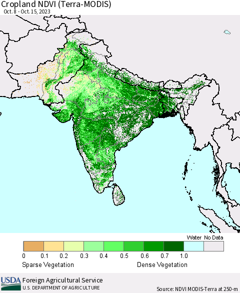 Southern Asia Cropland NDVI (Terra-MODIS) Thematic Map For 10/11/2023 - 10/20/2023