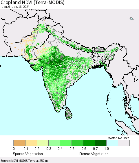 Southern Asia Cropland NDVI (Terra-MODIS) Thematic Map For 1/9/2024 - 1/16/2024