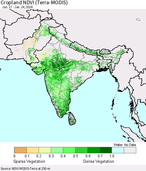 Southern Asia Cropland NDVI (Terra-MODIS) Thematic Map For 1/17/2024 - 1/24/2024