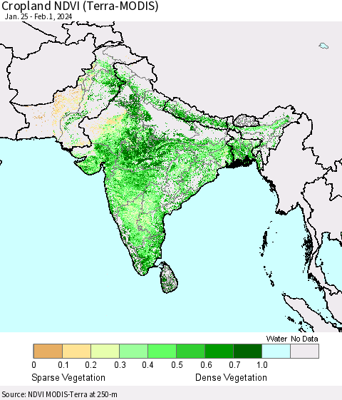 Southern Asia Cropland NDVI (Terra-MODIS) Thematic Map For 1/25/2024 - 2/1/2024