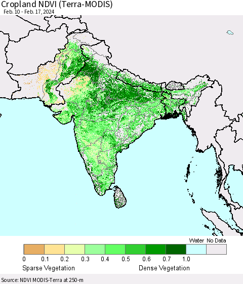 Southern Asia Cropland NDVI (Terra-MODIS) Thematic Map For 2/10/2024 - 2/17/2024