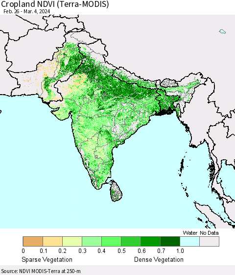 Southern Asia Cropland NDVI (Terra-MODIS) Thematic Map For 2/26/2024 - 3/4/2024