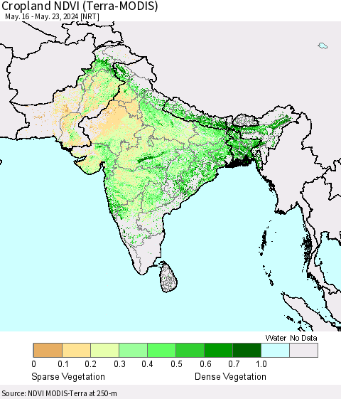 Southern Asia Cropland NDVI (Terra-MODIS) Thematic Map For 5/16/2024 - 5/23/2024