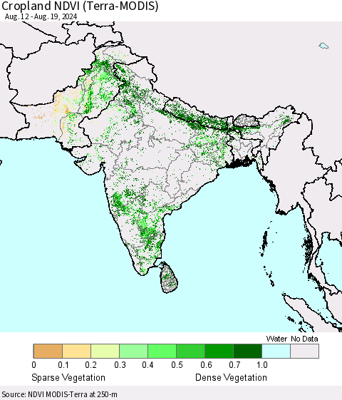 Southern Asia Cropland NDVI (Terra-MODIS) Thematic Map For 8/12/2024 - 8/19/2024