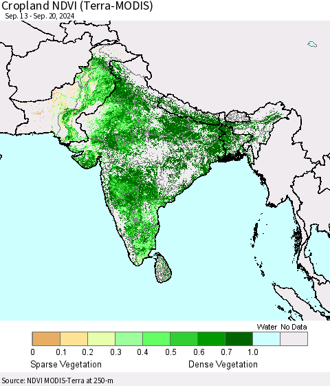 Southern Asia Cropland NDVI (Terra-MODIS) Thematic Map For 9/13/2024 - 9/20/2024