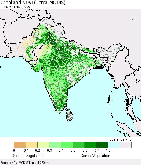 Southern Asia Cropland NDVI (Terra-MODIS) Thematic Map For 1/25/2025 - 2/1/2025