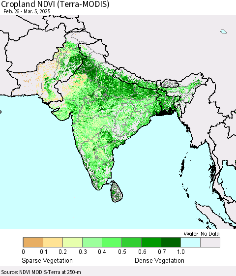 Southern Asia Cropland NDVI (Terra-MODIS) Thematic Map For 2/26/2025 - 3/5/2025