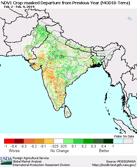Southern Asia Cropland NDVI Departure from Previous Year (Terra-MODIS) Thematic Map For 2/1/2019 - 2/10/2019