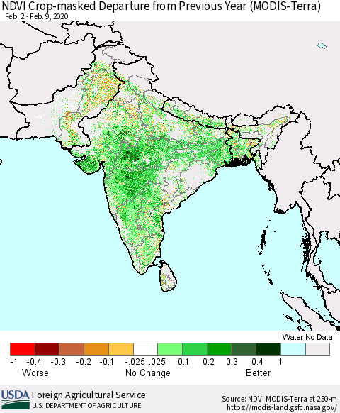 Southern Asia NDVI Crop-masked Departure from Previous Year (MODIS-Terra) Thematic Map For 2/1/2020 - 2/10/2020