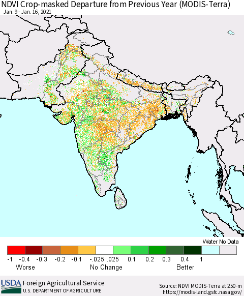 Southern Asia Cropland NDVI Departure from Previous Year (Terra-MODIS) Thematic Map For 1/11/2021 - 1/20/2021