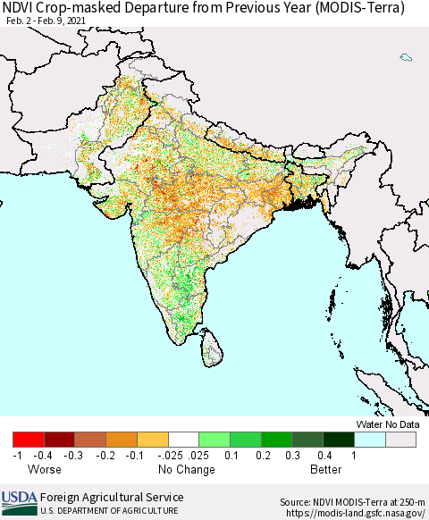 Southern Asia NDVI Crop-masked Departure from Previous Year (MODIS-Terra) Thematic Map For 2/1/2021 - 2/10/2021