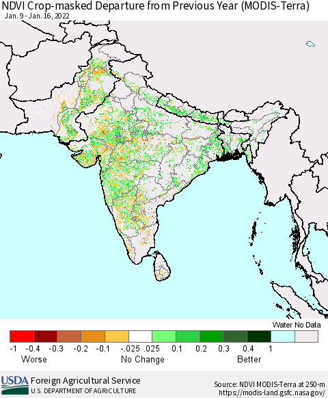 Southern Asia NDVI Crop-masked Departure from Previous Year (MODIS-Terra) Thematic Map For 1/11/2022 - 1/20/2022