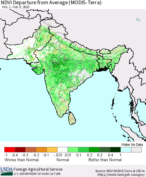 Southern Asia NDVI Departure from Average (MODIS-Terra) Thematic Map For 2/1/2020 - 2/10/2020