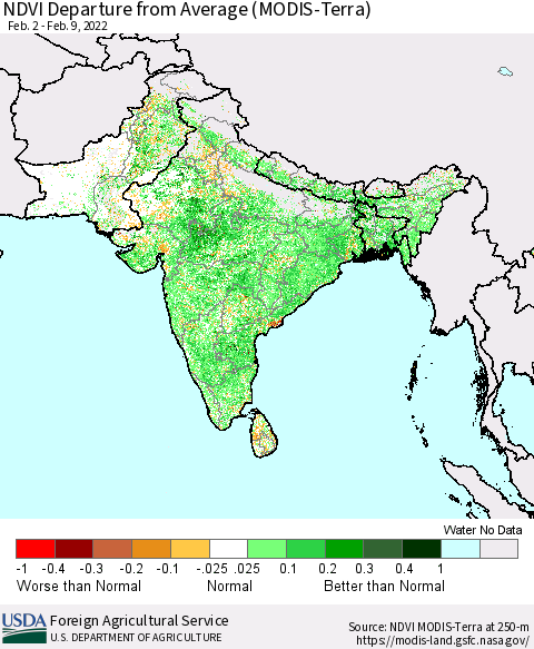Southern Asia NDVI Departure from Average (Terra-MODIS) Thematic Map For 2/1/2022 - 2/10/2022