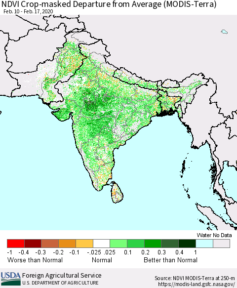 Southern Asia NDVI Crop-masked Departure from Average (MODIS-Terra) Thematic Map For 2/11/2020 - 2/20/2020