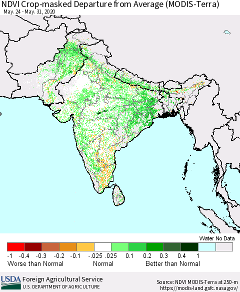 Southern Asia NDVI Crop-masked Departure from Average (MODIS-Terra) Thematic Map For 5/21/2020 - 5/31/2020