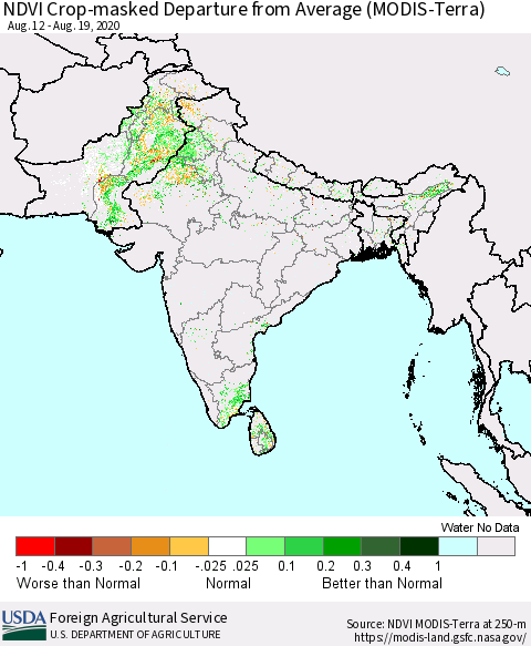 Southern Asia NDVI Crop-masked Departure from Average (MODIS-Terra) Thematic Map For 8/11/2020 - 8/20/2020