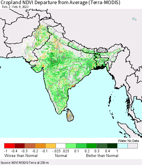 Southern Asia Cropland NDVI Departure from Average (Terra-MODIS) Thematic Map For 2/2/2022 - 2/9/2022