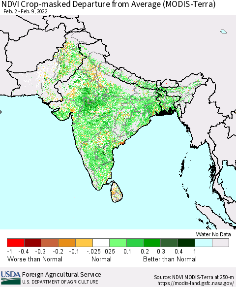 Southern Asia Cropland NDVI Departure from Average (Terra-MODIS) Thematic Map For 2/1/2022 - 2/10/2022