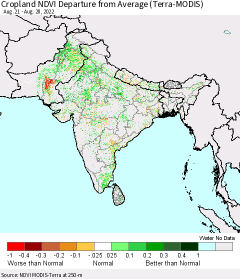Southern Asia Cropland NDVI Departure from Average (Terra-MODIS) Thematic Map For 8/21/2022 - 8/28/2022
