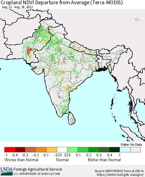Southern Asia Cropland NDVI Departure from Average (Terra-MODIS) Thematic Map For 8/21/2022 - 8/31/2022