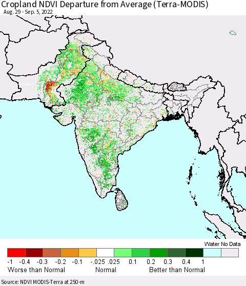 Southern Asia Cropland NDVI Departure from Average (Terra-MODIS) Thematic Map For 8/29/2022 - 9/5/2022