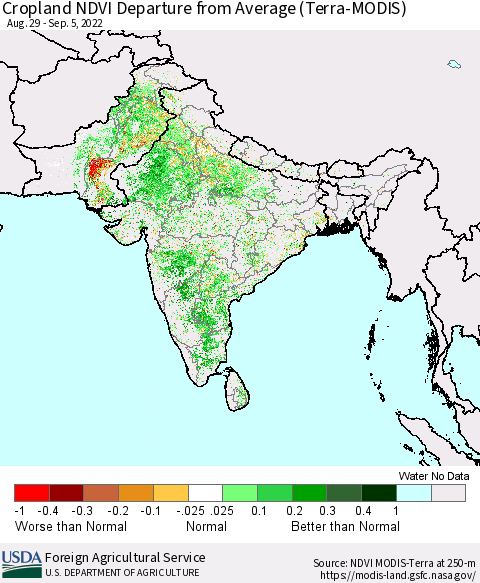 Southern Asia Cropland NDVI Departure from Average (Terra-MODIS) Thematic Map For 9/1/2022 - 9/10/2022