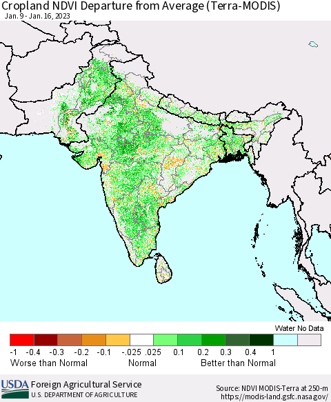 Southern Asia Cropland NDVI Departure from Average (Terra-MODIS) Thematic Map For 1/11/2023 - 1/20/2023