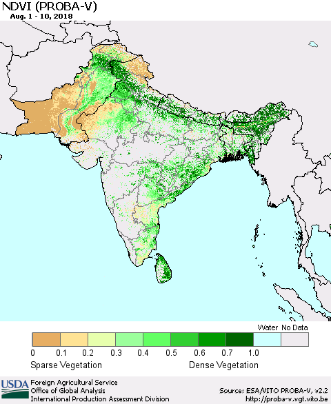 Southern Asia NDVI (PROBA-V) Thematic Map For 8/1/2018 - 8/10/2018