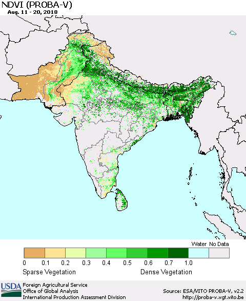 Southern Asia NDVI (PROBA-V) Thematic Map For 8/11/2018 - 8/20/2018