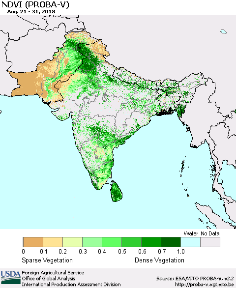 Southern Asia NDVI (PROBA-V) Thematic Map For 8/21/2018 - 8/31/2018