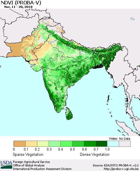 Southern Asia NDVI (PROBA-V) Thematic Map For 11/11/2018 - 11/20/2018