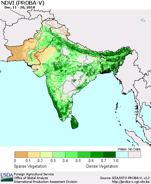Southern Asia NDVI (PROBA-V) Thematic Map For 12/11/2018 - 12/20/2018