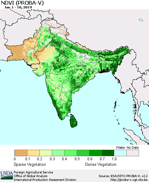 Southern Asia NDVI (PROBA-V) Thematic Map For 1/1/2019 - 1/10/2019
