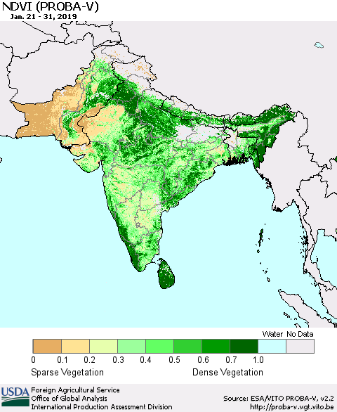 Southern Asia NDVI (PROBA-V) Thematic Map For 1/21/2019 - 1/31/2019