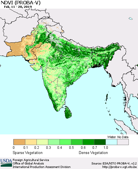 Southern Asia NDVI (PROBA-V) Thematic Map For 2/11/2019 - 2/20/2019