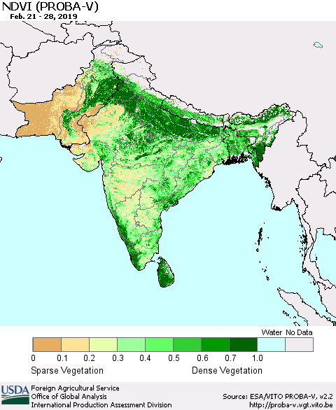 Southern Asia NDVI (PROBA-V) Thematic Map For 2/21/2019 - 2/28/2019