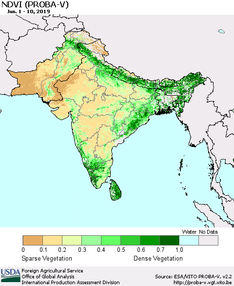 Southern Asia NDVI (PROBA-V) Thematic Map For 6/1/2019 - 6/10/2019