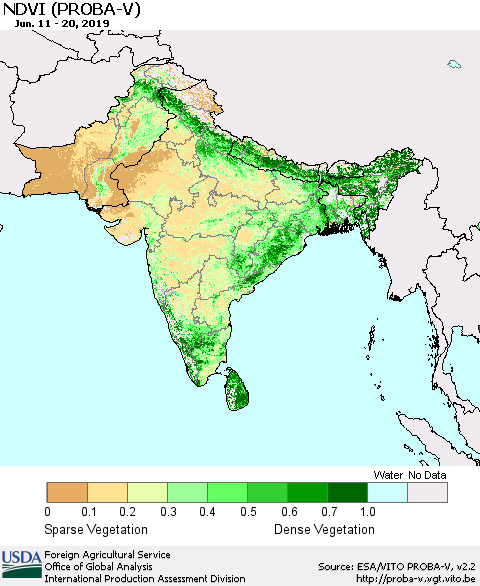 Southern Asia NDVI (PROBA-V) Thematic Map For 6/11/2019 - 6/20/2019