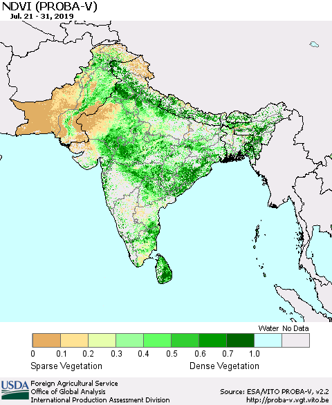 Southern Asia NDVI (PROBA-V) Thematic Map For 7/21/2019 - 7/31/2019