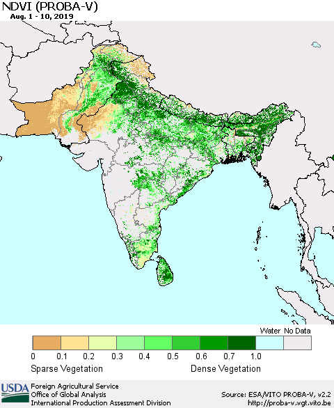 Southern Asia NDVI (PROBA-V) Thematic Map For 8/1/2019 - 8/10/2019