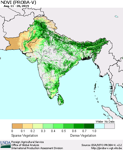 Southern Asia NDVI (PROBA-V) Thematic Map For 8/11/2019 - 8/20/2019