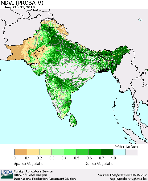 Southern Asia NDVI (PROBA-V) Thematic Map For 8/21/2019 - 8/31/2019